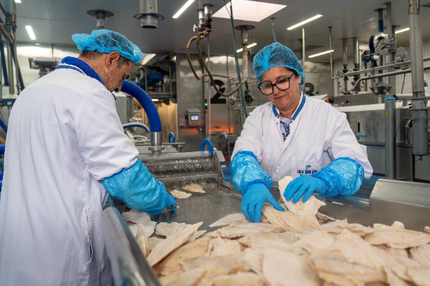 operator linii produkcyjnej przy pakowaniu ryb